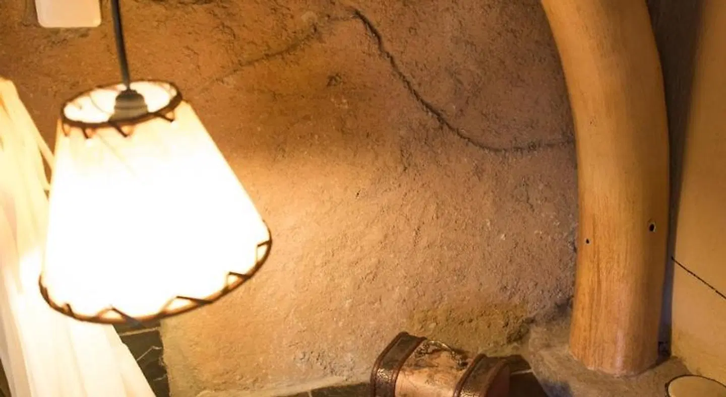 African Rock Lodge Tiere