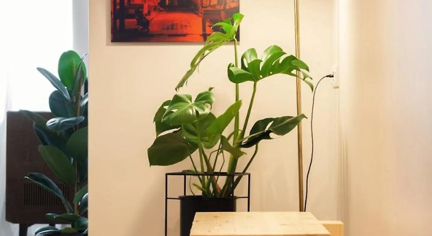 Live in Athens, Plaka Suites ROOM_EXAMPLE