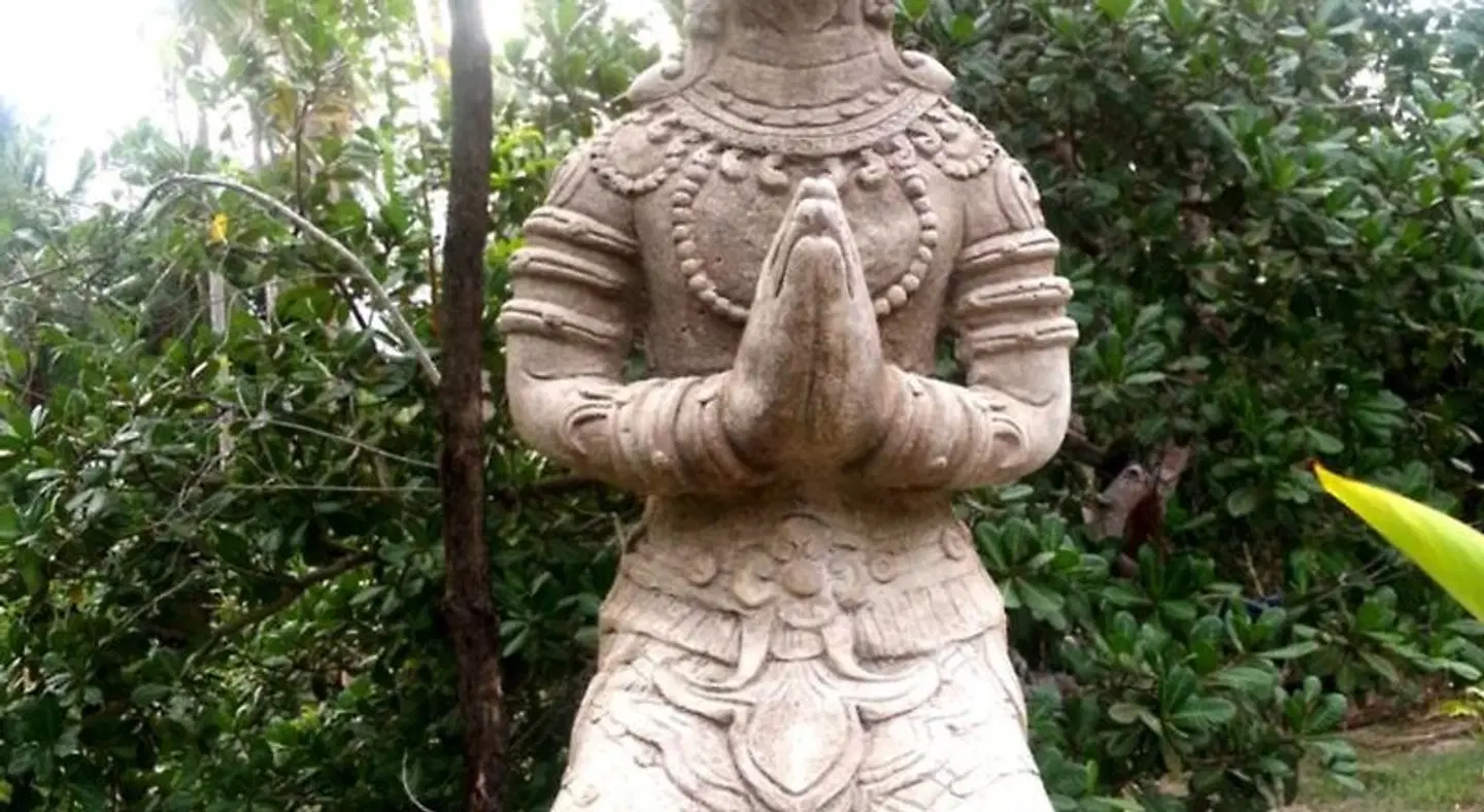 Tropical Season Villa Resort Tiere