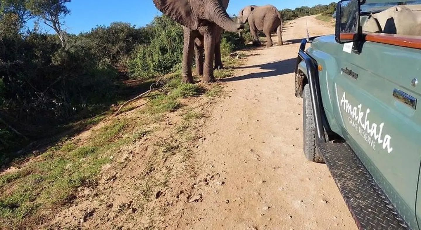 Amakhala Game Reserve - Safari Lodge Strand