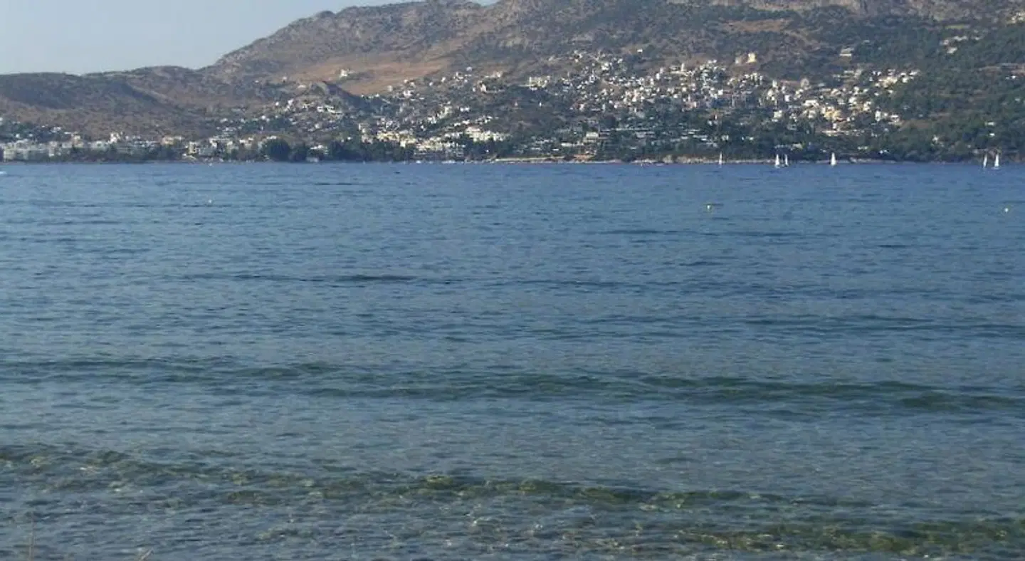 Sea Sight Boutique Hotel LANDSCAPE