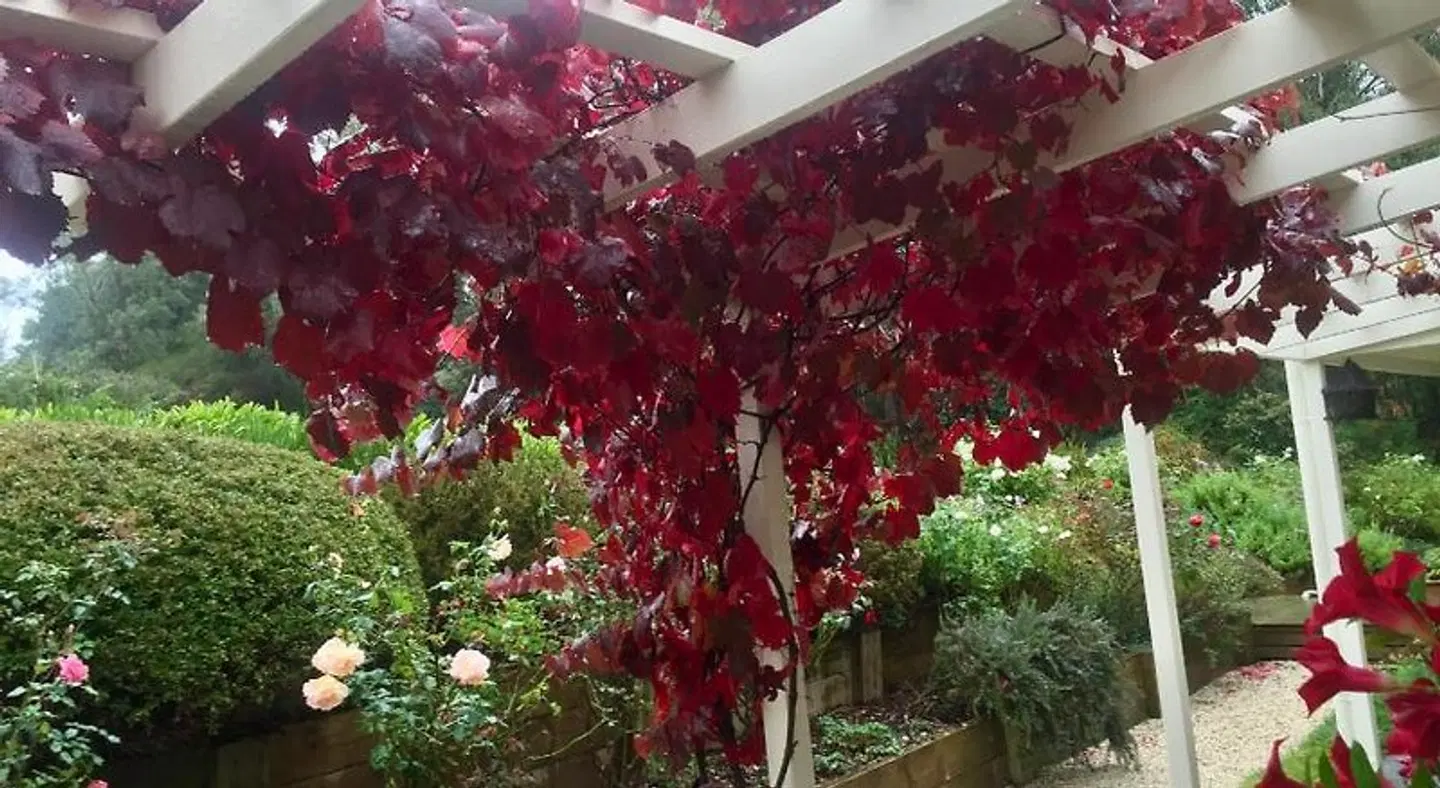 Llarrinda Bed & Breakfast Garten