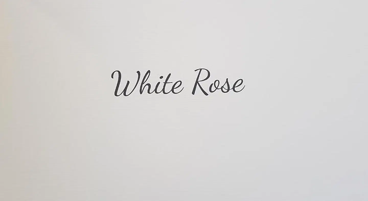 Little Rose Guest House MODEL_IMPRESSION