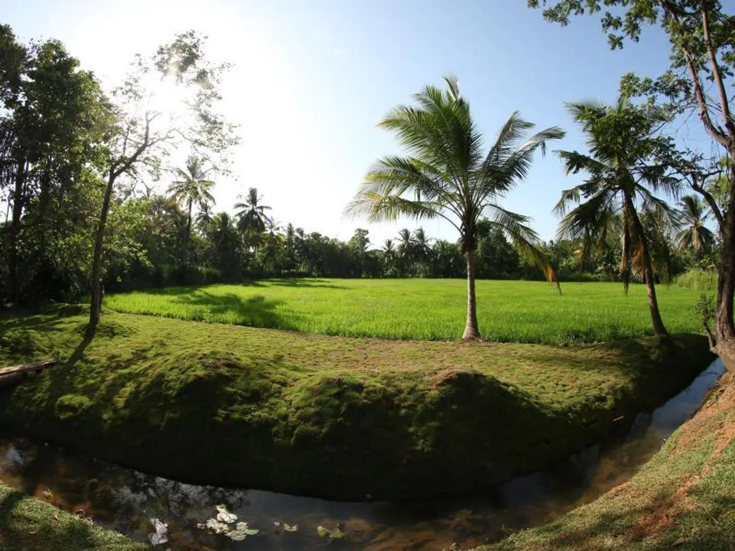 Thidas Arana Garten