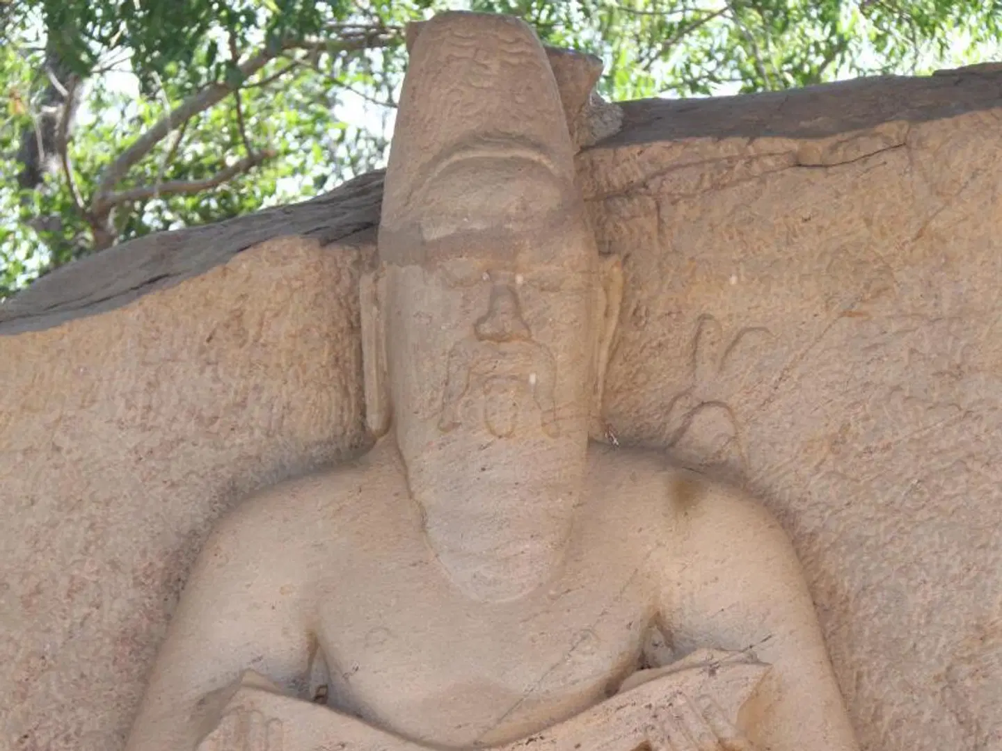 Thidas Arana Tiere