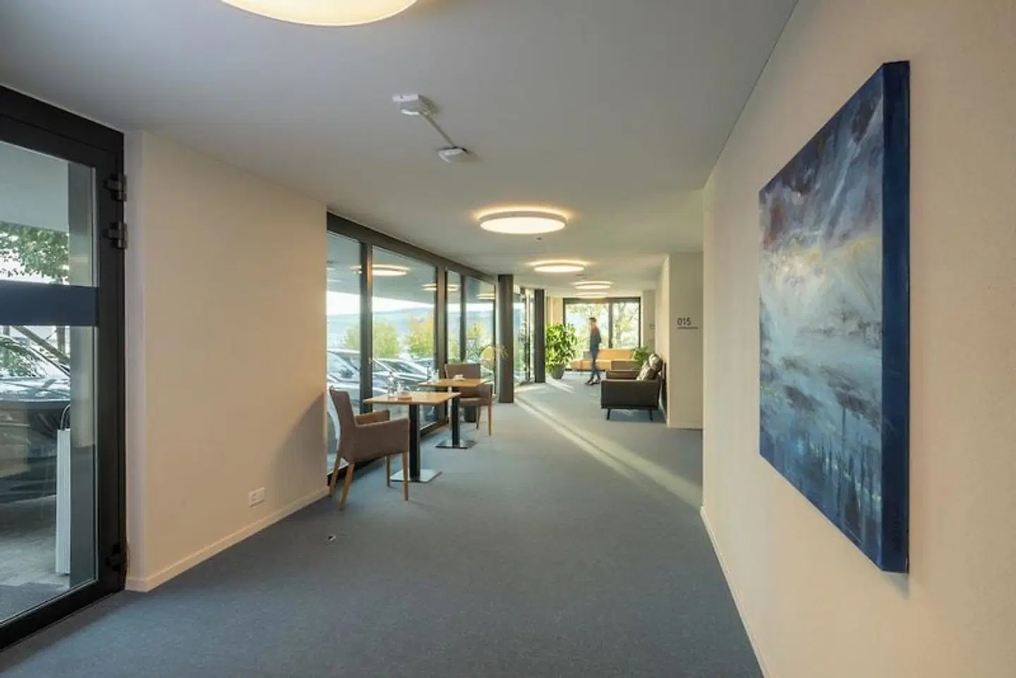 Aparthotel Beinwil am See ROOM_EXAMPLE