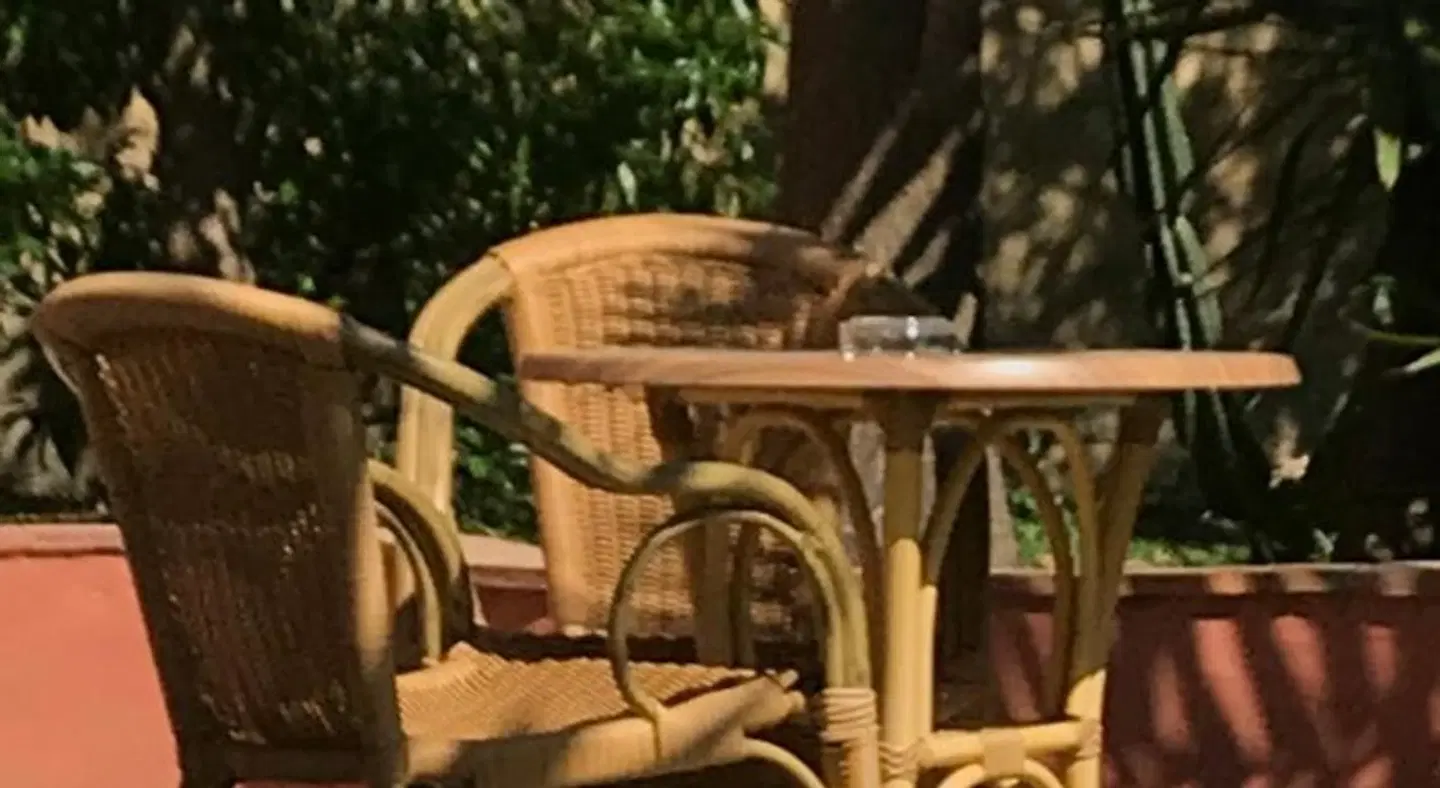 Beach Hotel Dos Mares Tiere