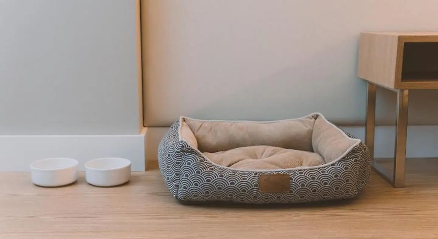 HOTEL CANDOR HEALTH_BEAUTY