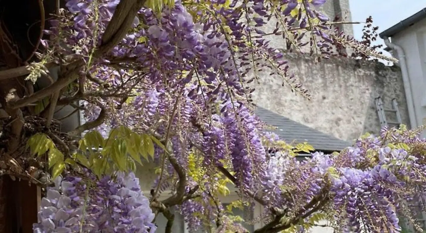 Hôtel de la Sologne Tiere