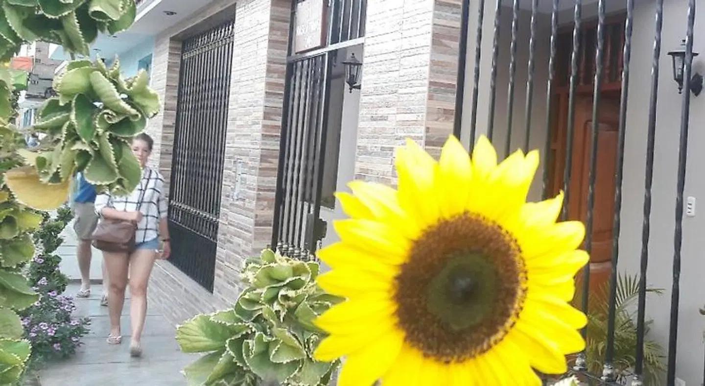 Nasca Travel One Hostel OUTDOOR_POOL