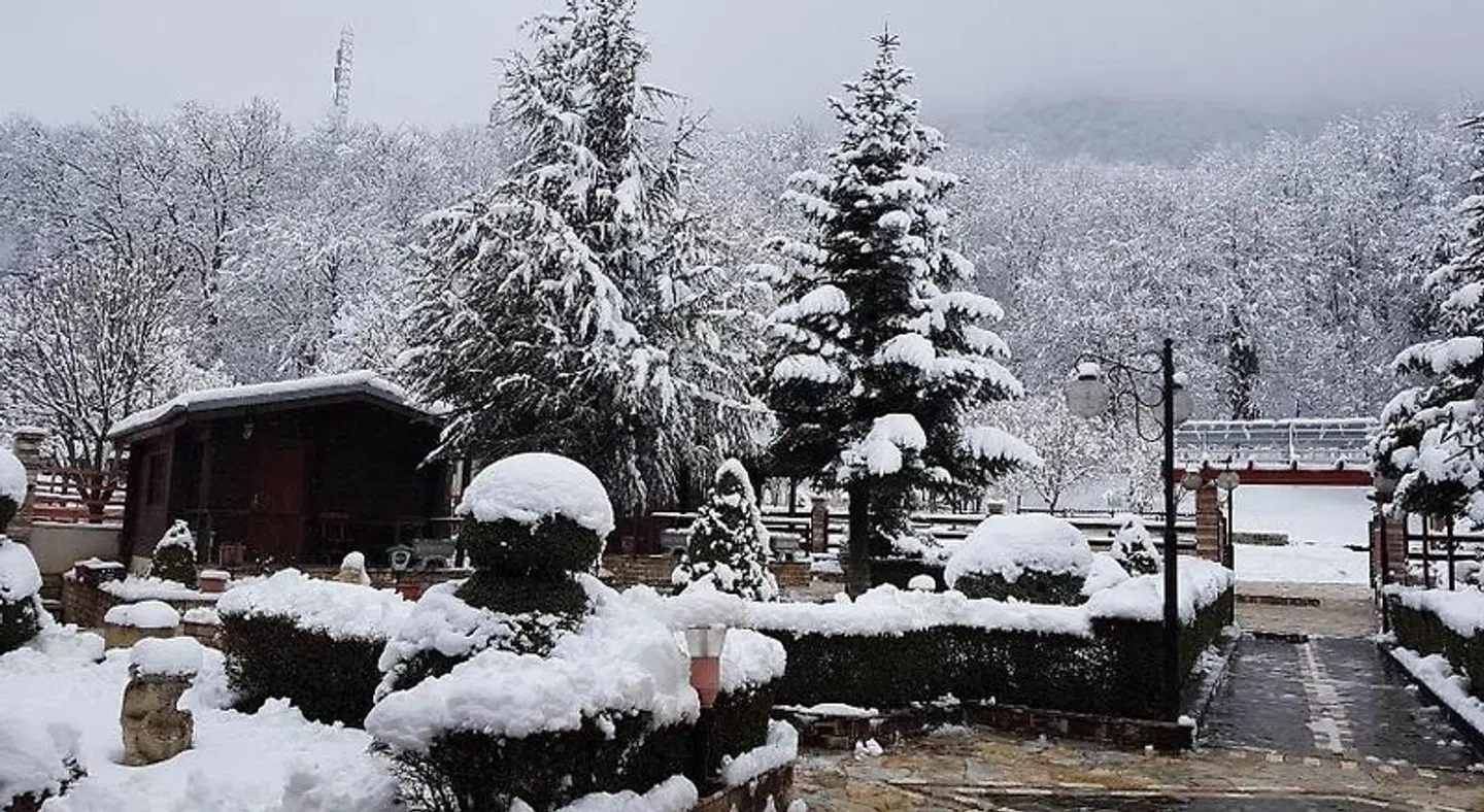 Hotel Panorama Dajt Tiere