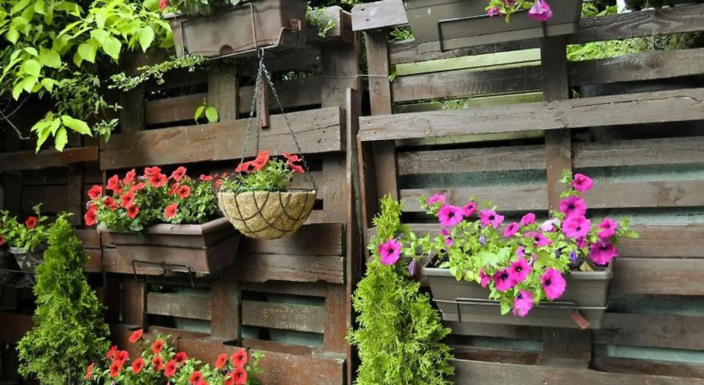 Pazo de Monterrei Terrasse