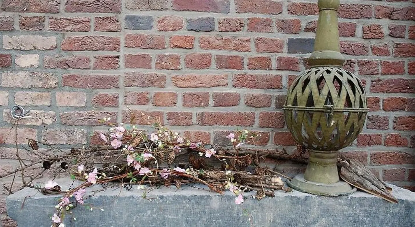 Bed en Breakfast VerdeSud LANDSCAPE