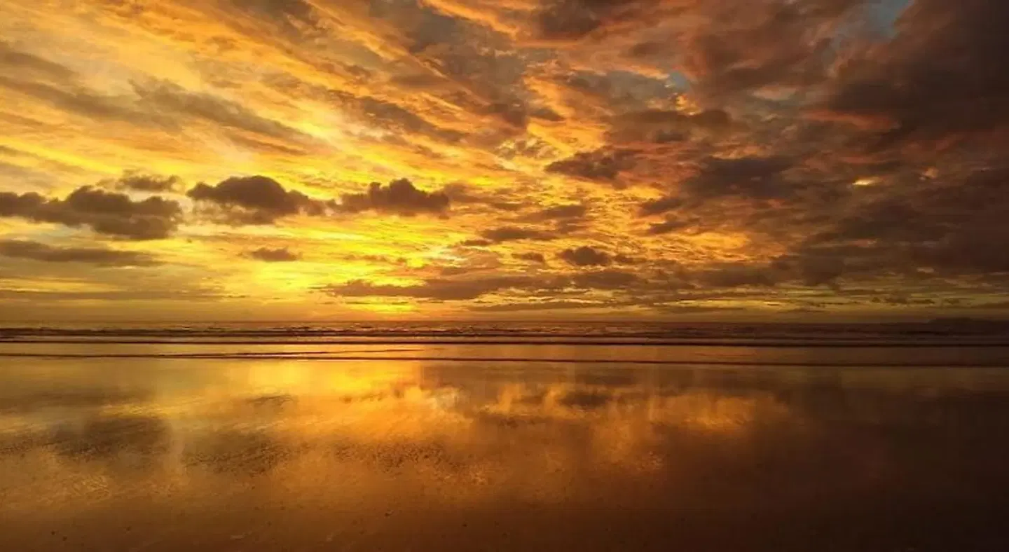 Alouatta Playa Coyote LANDSCAPE