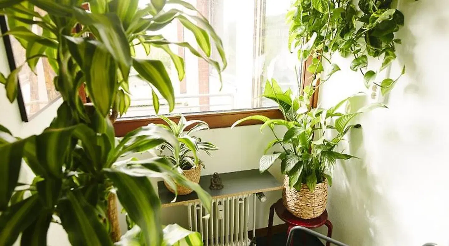 Sleep Station Hostel LOUNGE_LOBBY