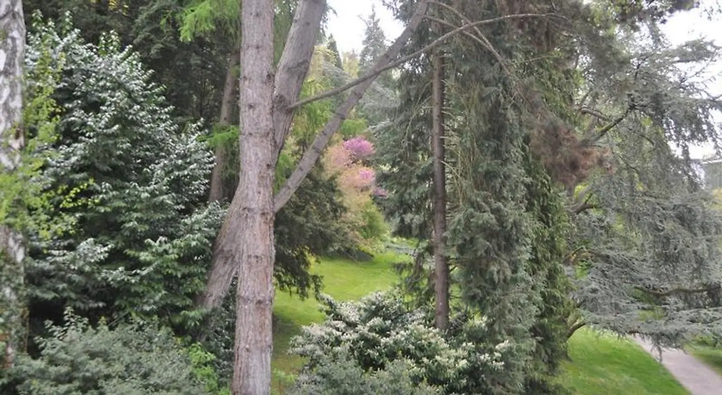 Stadtgarten LANDSCAPE