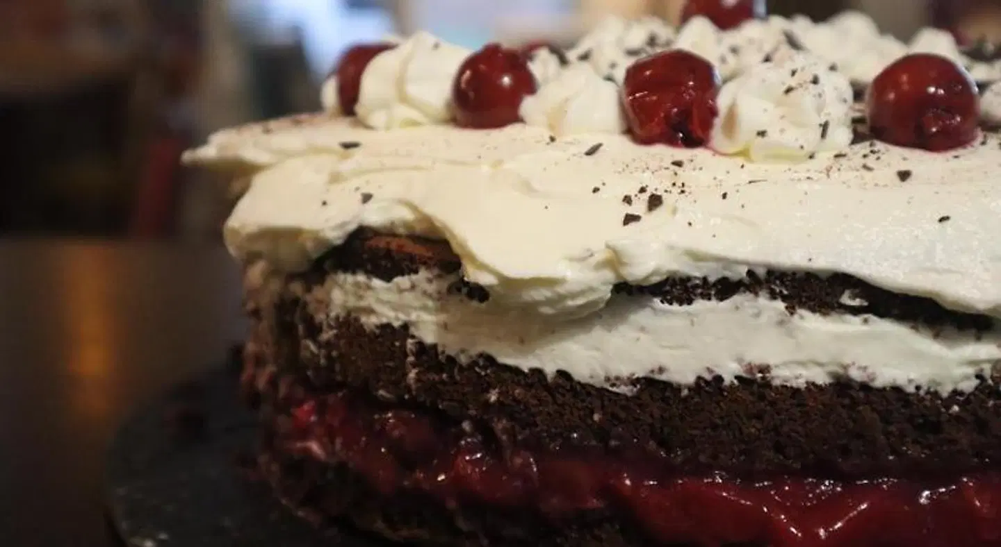 schickSAAL Hostel Tiere