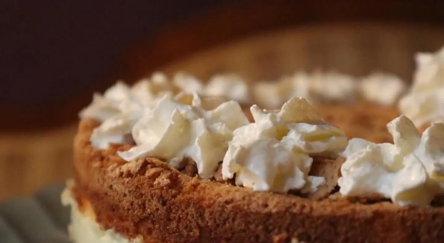 schickSAAL Hostel Tiere