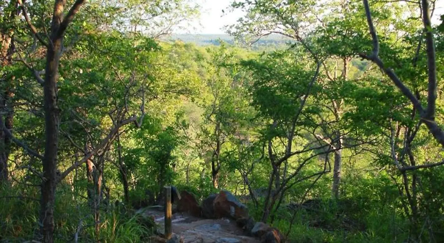 Parsons Hilltop Safari Camp Garten