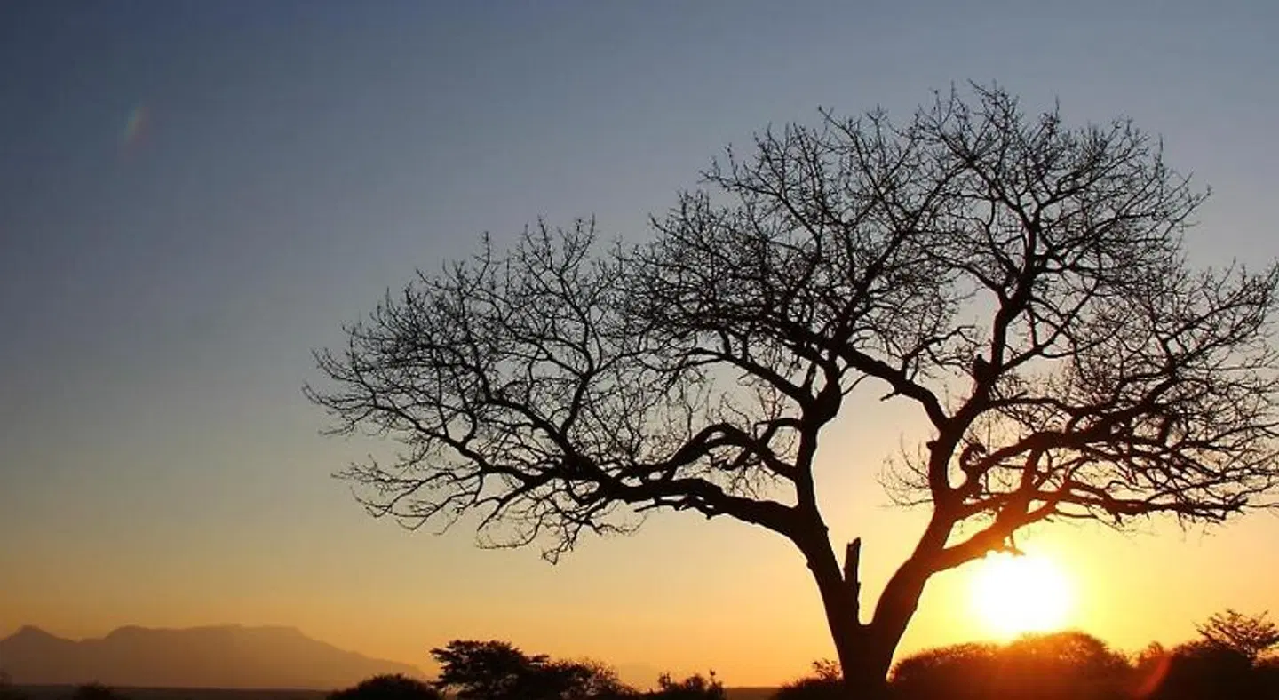 Thornhill Safari Lodge LANDSCAPE