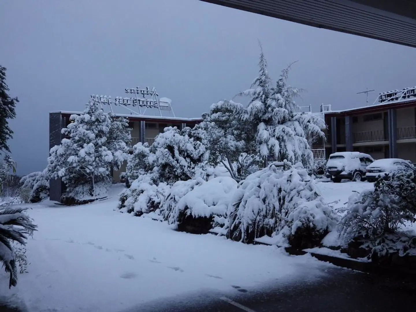 Alpine Motor Inn LANDSCAPE