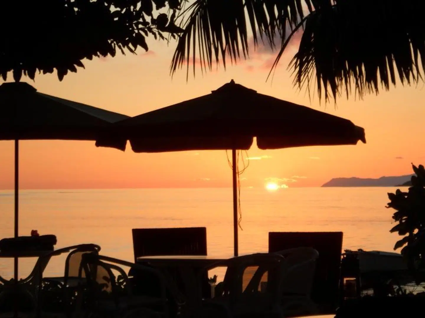 Palm Beach Hotel Terrasse