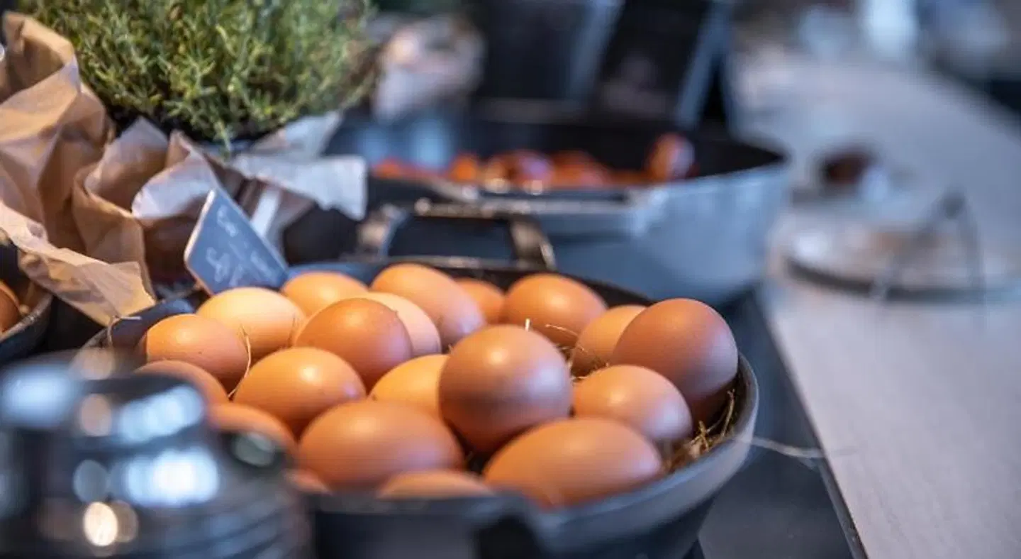 Radisson Blu Hotel, Hamburg SPORTS_AND_LEISURE