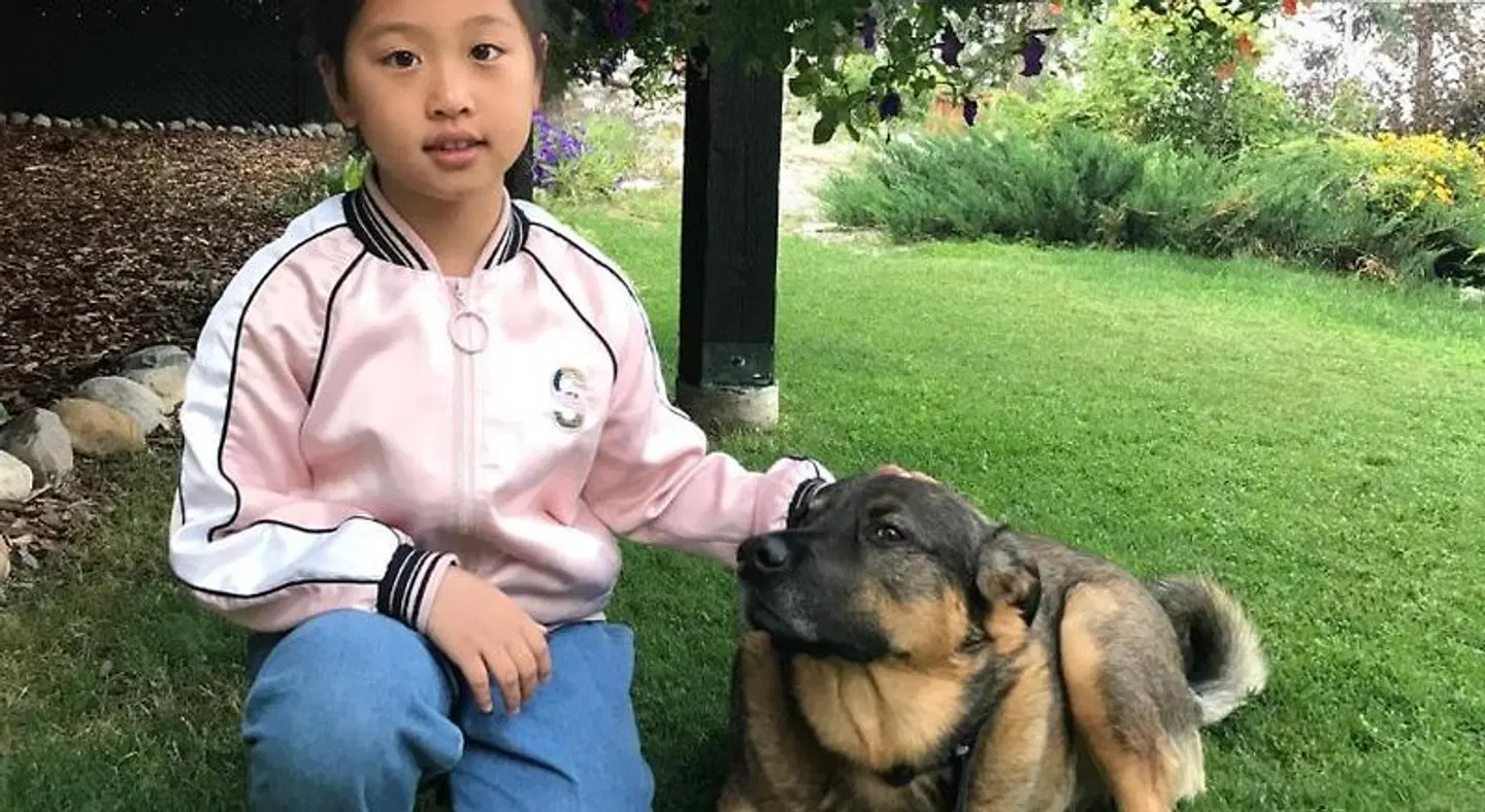 Deer Ridge B&B Tiere