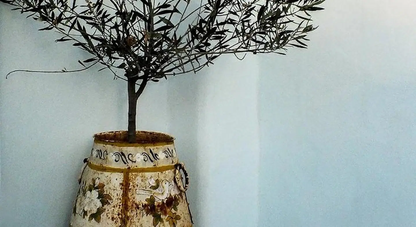 Pangaia Seaside Hotel LOUNGE_LOBBY