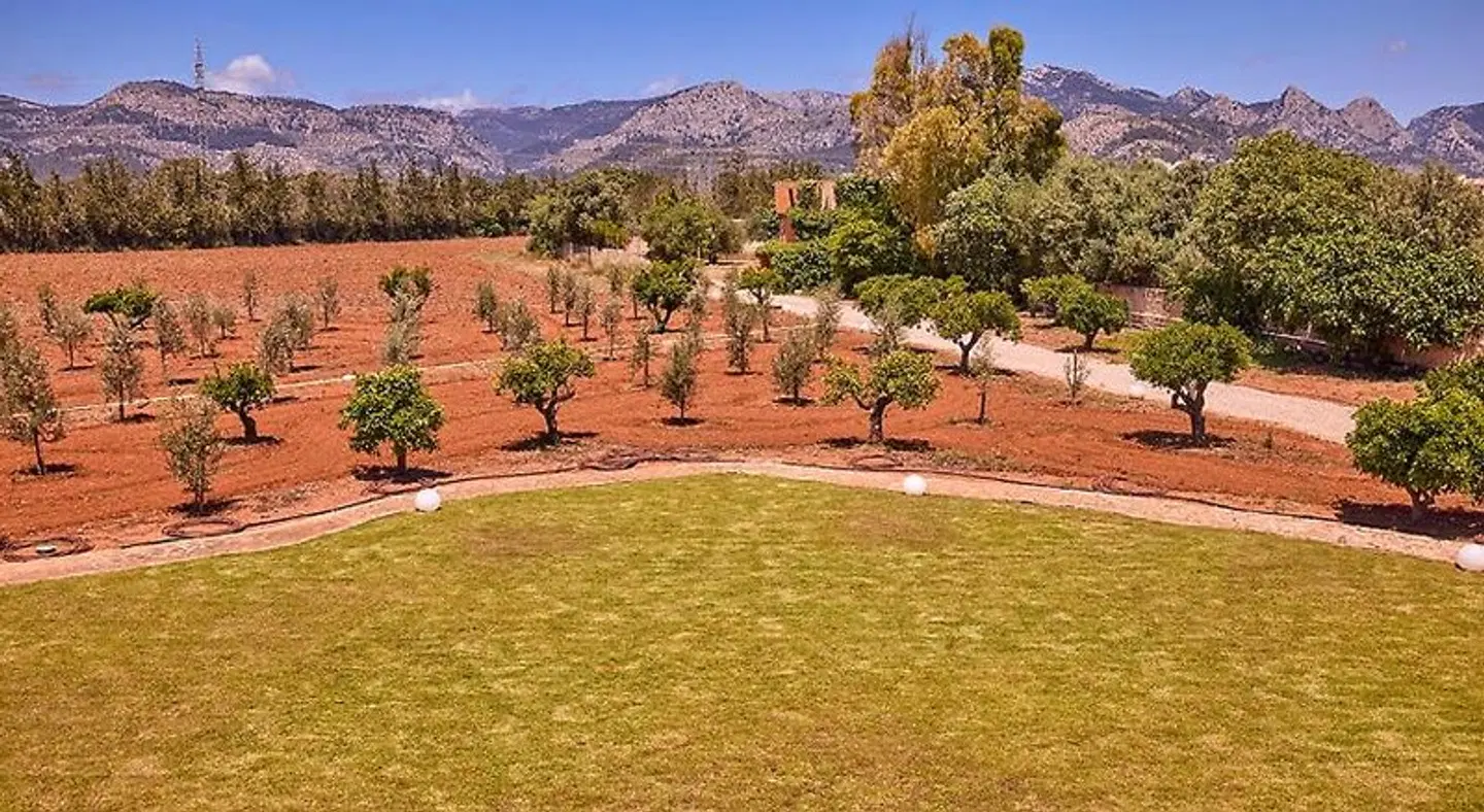 Finca Los Naranjos LANDSCAPE