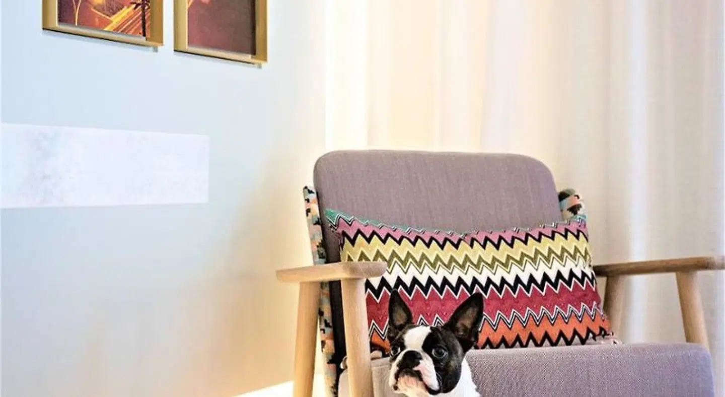 Hôtel Croisette Beach Cannes - MGallery ROOM_EXAMPLE