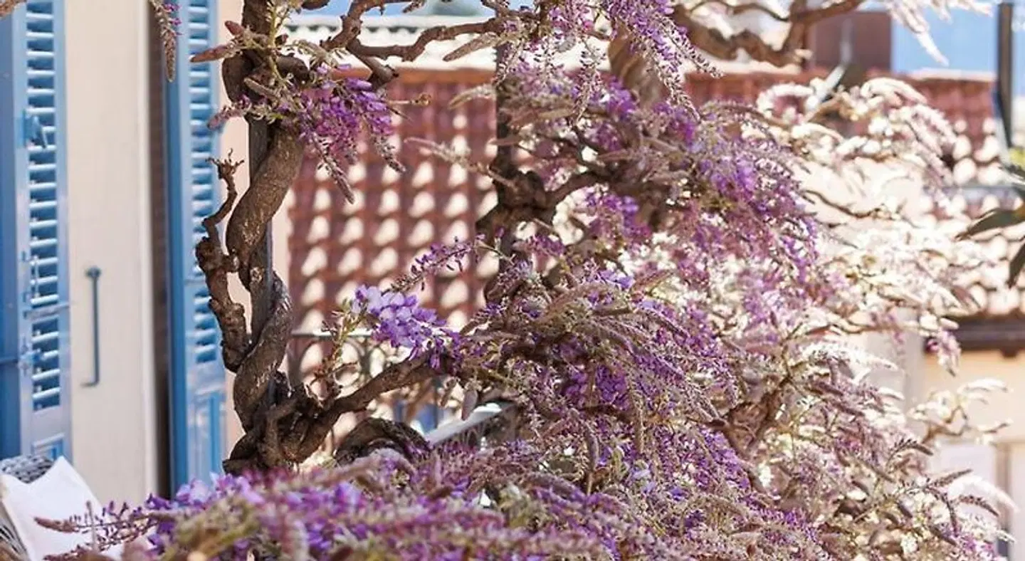 Art Hotel Riposo Tiere