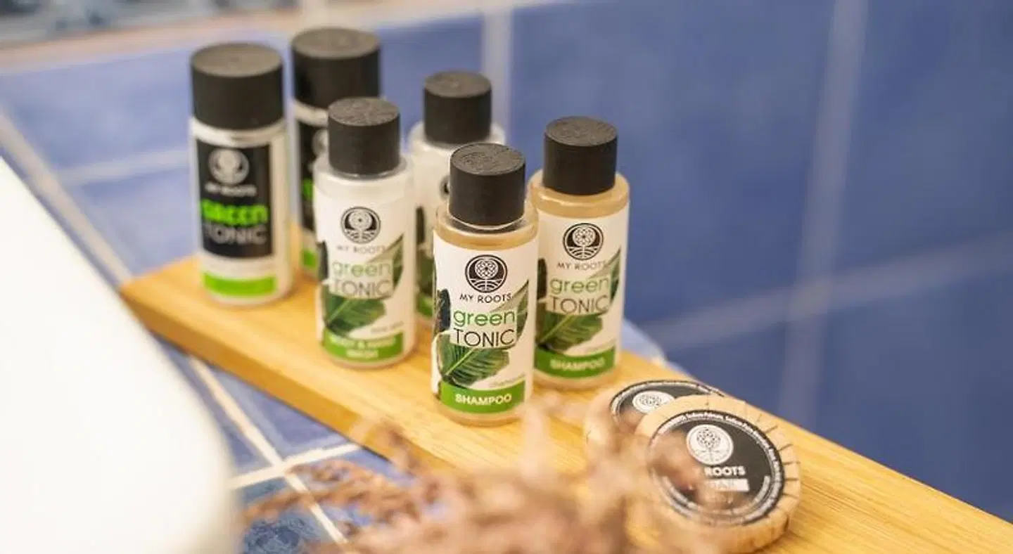 Paradise Art Hotel OUTDOOR_POOL