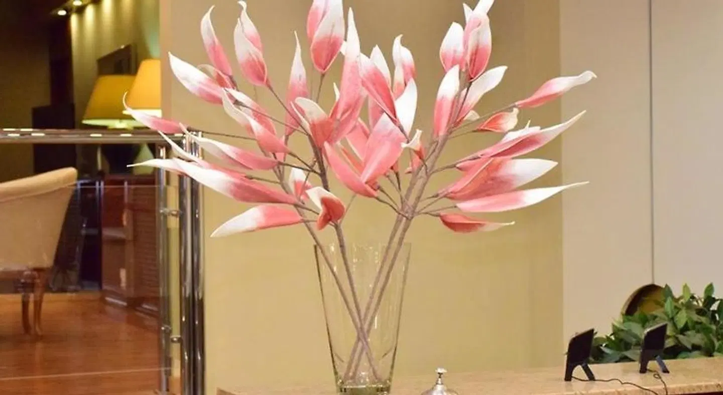 Hotel Galaxias LANDSCAPE