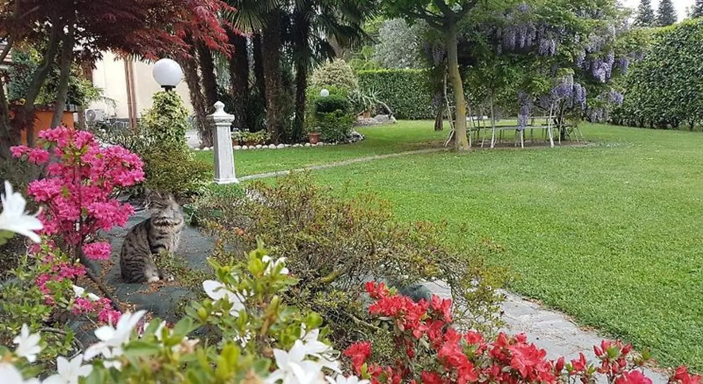 B&B Le Palme Garten