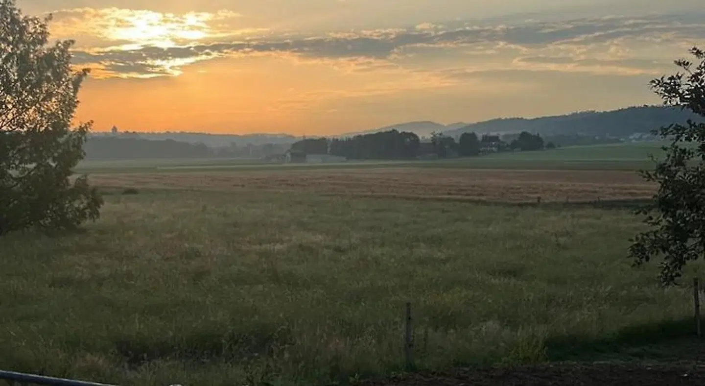 L'hotat di loup LANDSCAPE