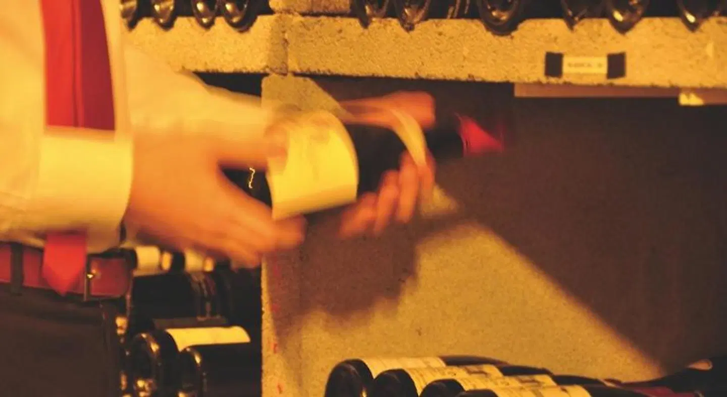 De Nederlanden Tiere