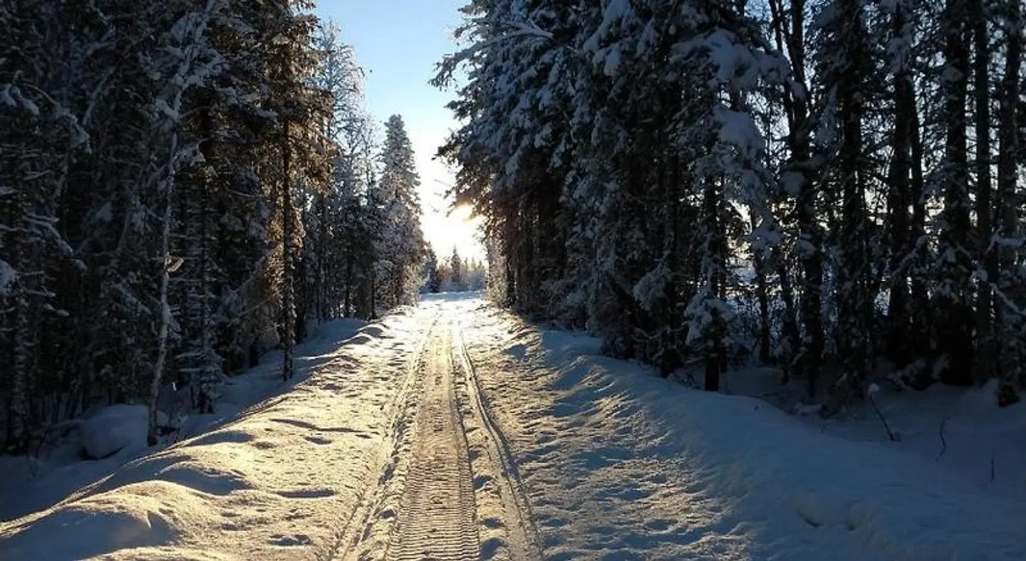 Lapland Snow Cabin LANDSCAPE