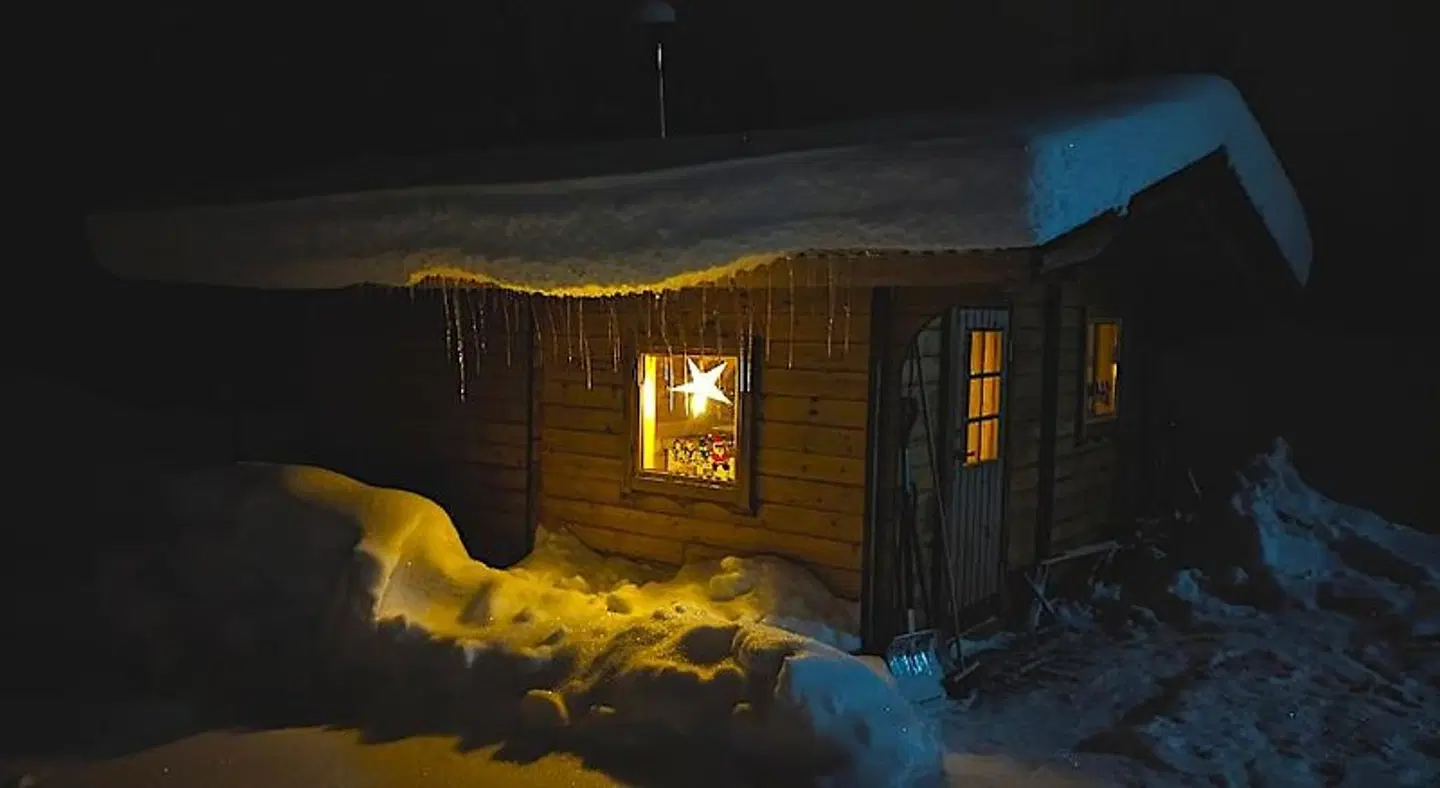 Lapland Snow Cabin Tiere
