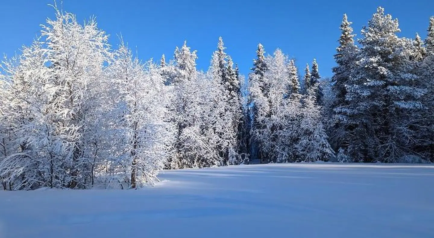 Lapland Snow Cabin LANDSCAPE