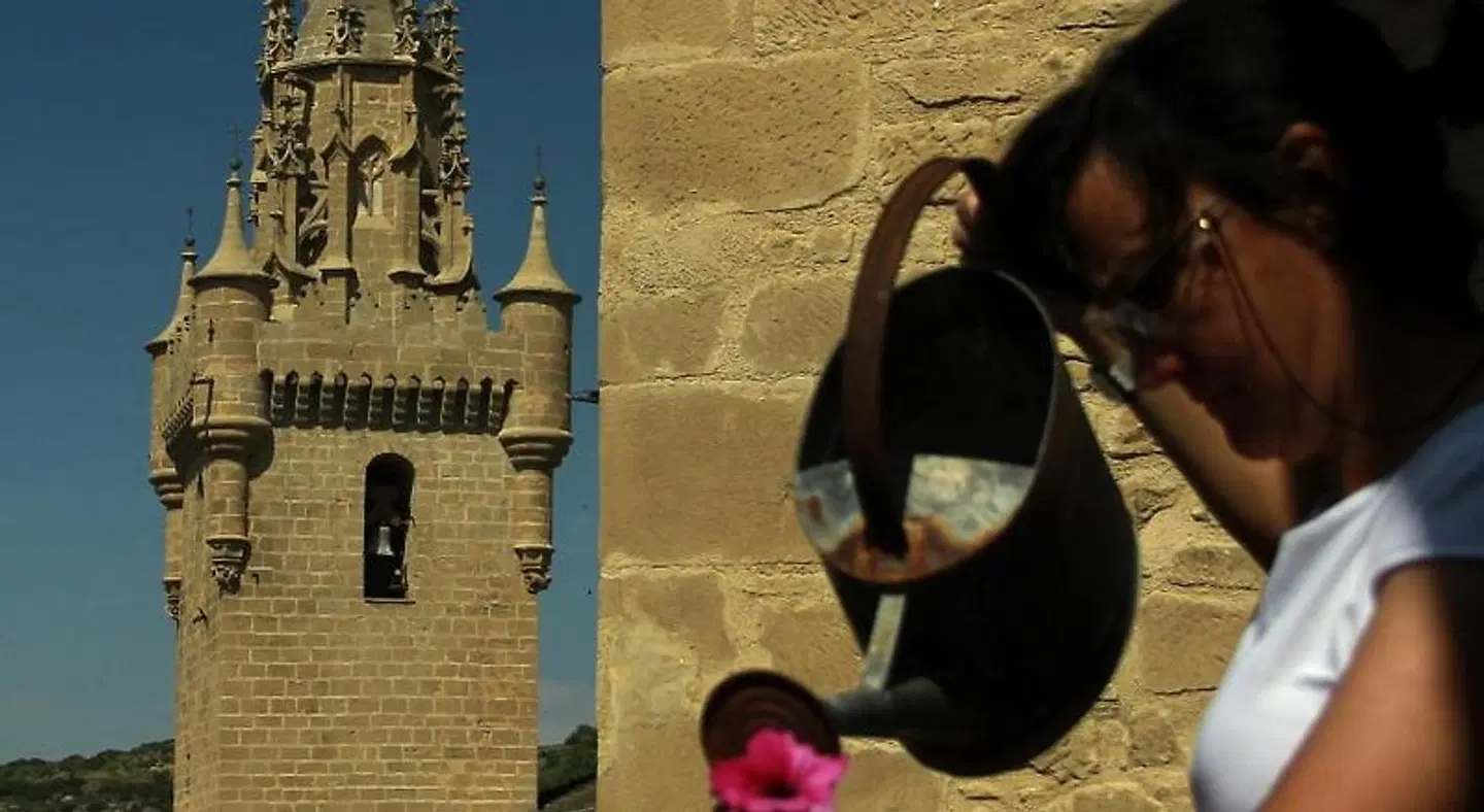 La Posada Uncastillo Tiere