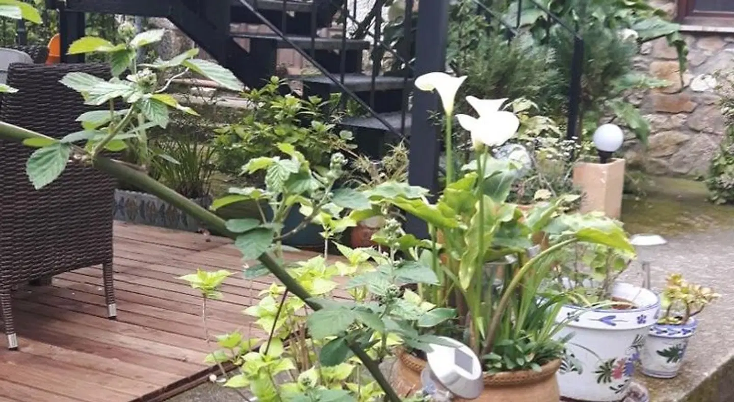 Agroturismo Muriances Garten