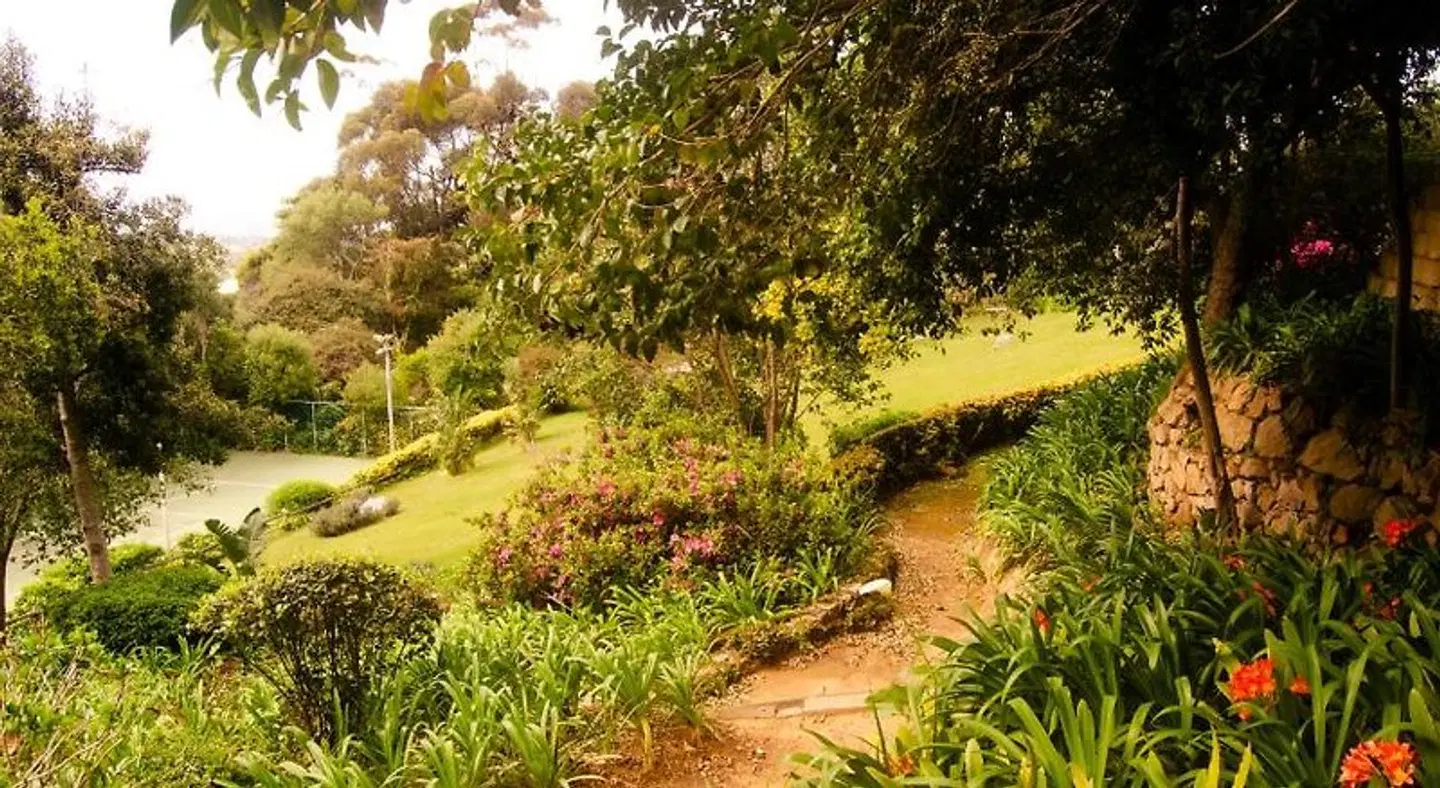 Ikhaya Safari Lodge Garten