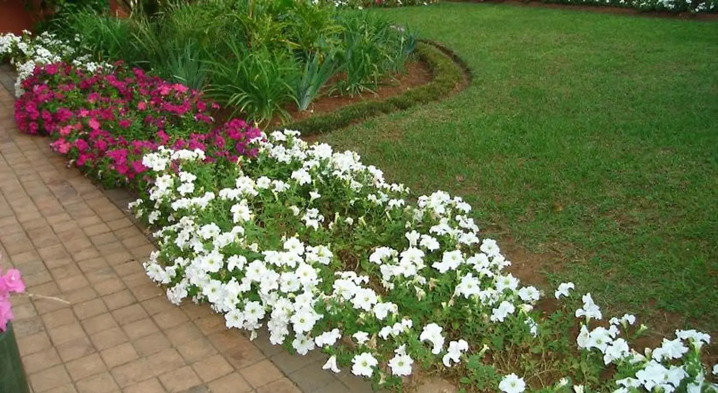 Taunton House Bed & Breakfast Garten