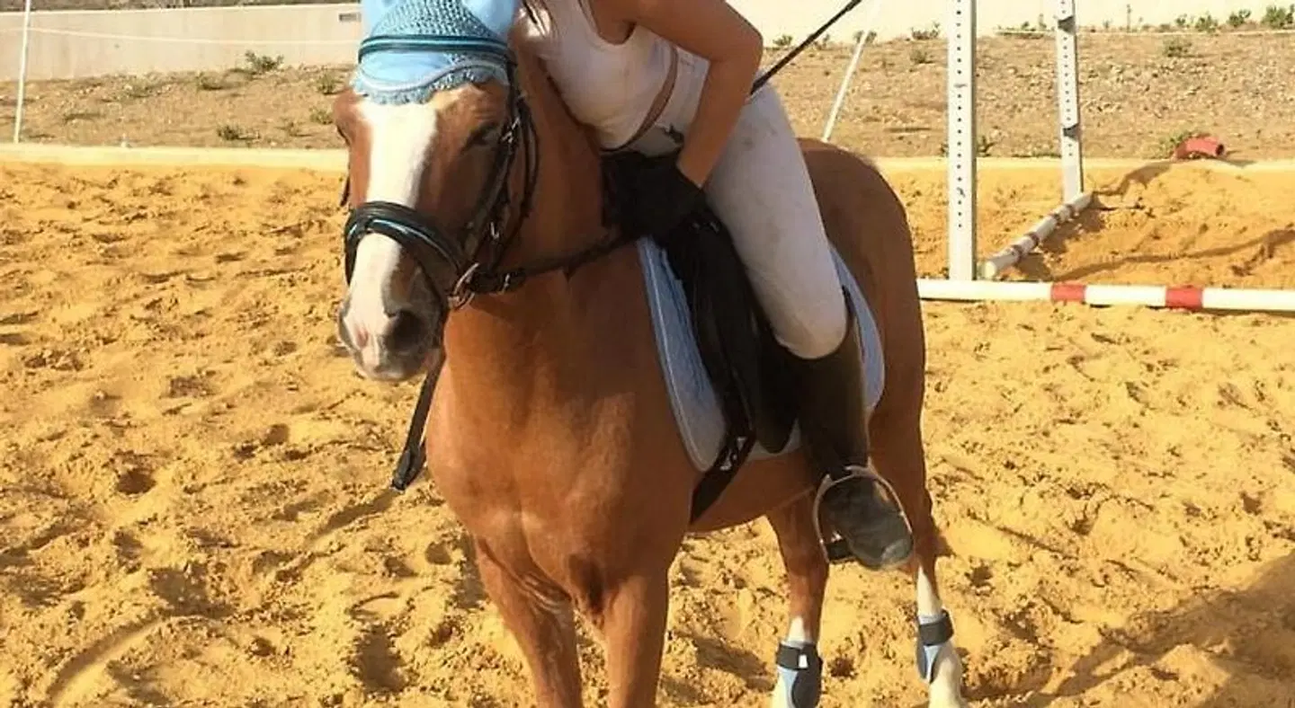 B&B L'EDEN DI CAPO BIANCO Tiere