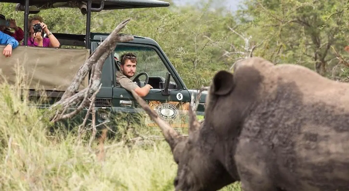 Annas Bed and Breakfast Tiere