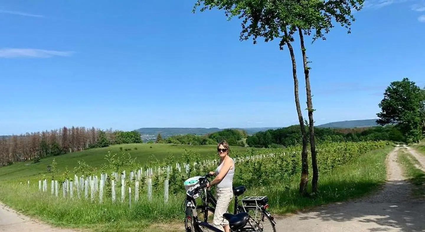 Gästehaus am Kurpark LANDSCAPE