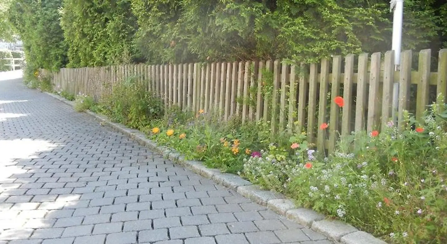 Bigger Hof Garten