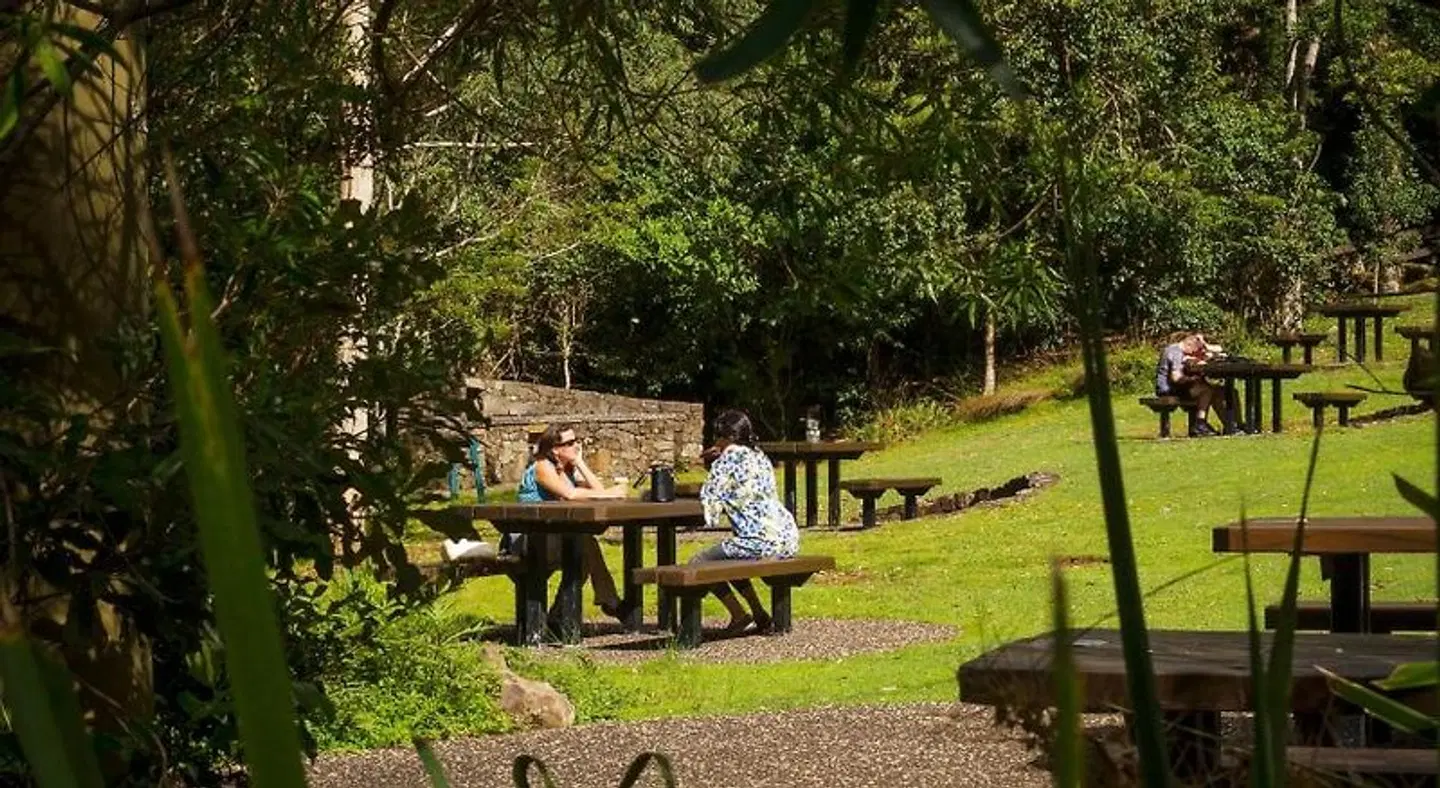 Binna Burra Mountain Lodge Tiere