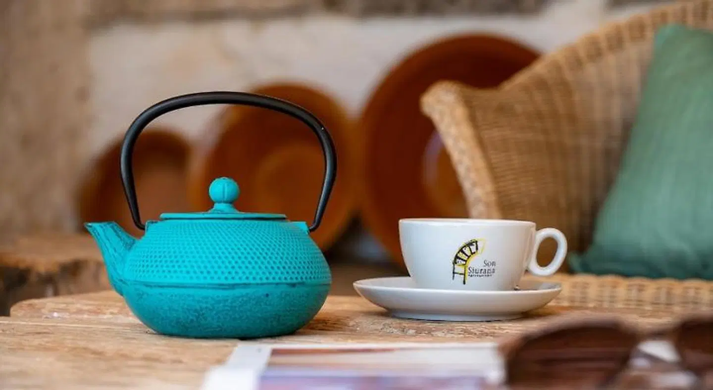 Finca Agroturismo Son Siurana LOUNGE_LOBBY